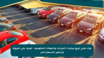 مزاد علني لبيع مركبات النيابات والجهات الحكومية.. تعرف على شروط وأرخص الأسعار الآن
